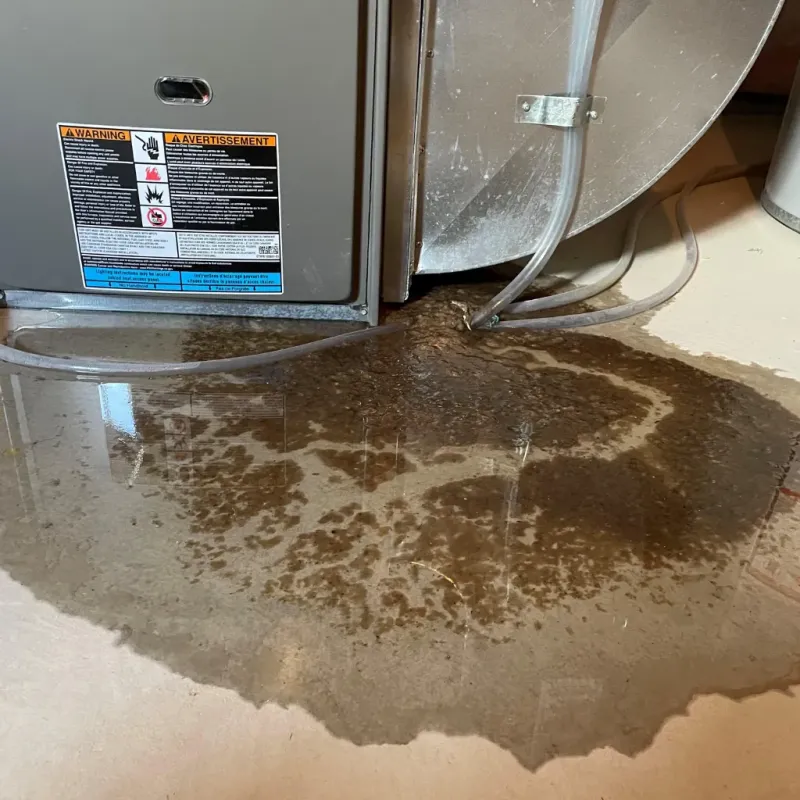 Appliance Leak Cleanup in Levant, ME